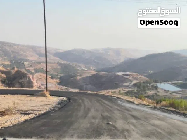 Residential Land for Sale in Amman Al-Fuhais