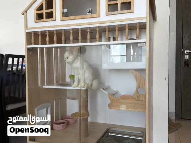 قفص منزلي للقطط