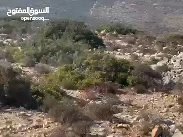 ارض للببع في بتونيا للبيتاء اسكان