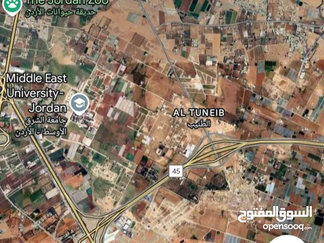 Residential Land for Sale in Amman Al Tuneib