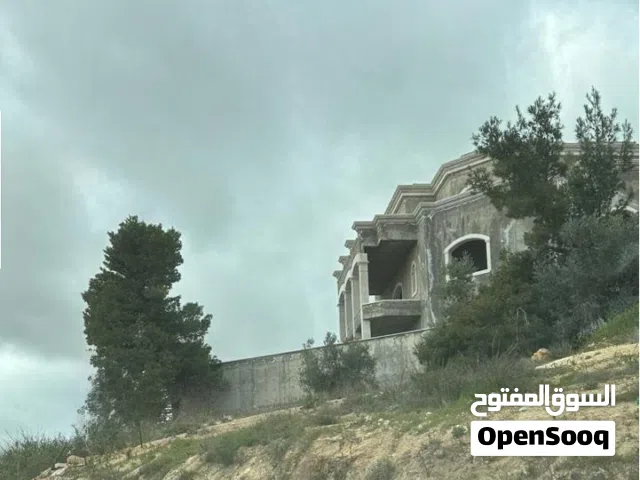 1200 m2 4 Bedrooms Villa for Sale in Amman Dabouq