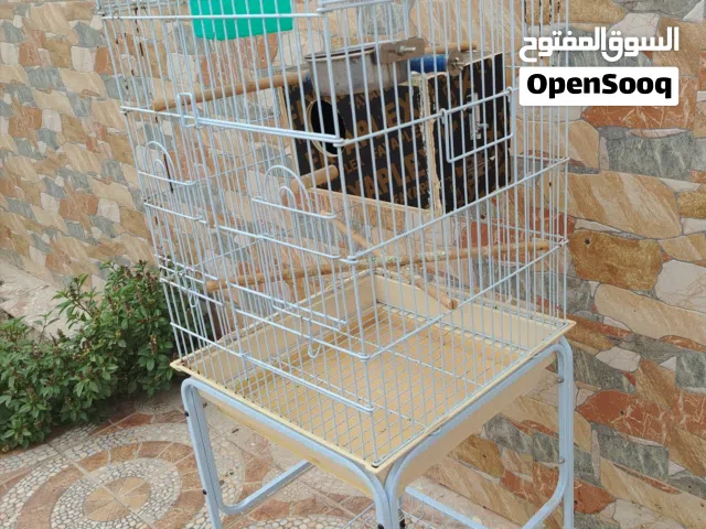 قفص مع استاند شويه فيه حلي