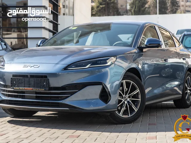 2025, بي واي دي, سيل