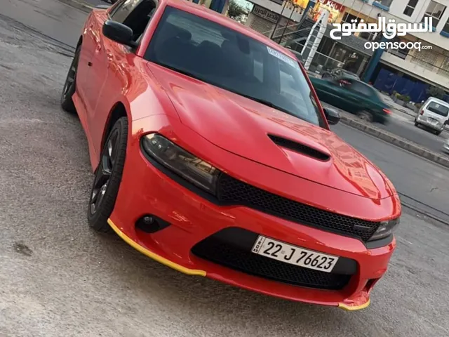 الشامي