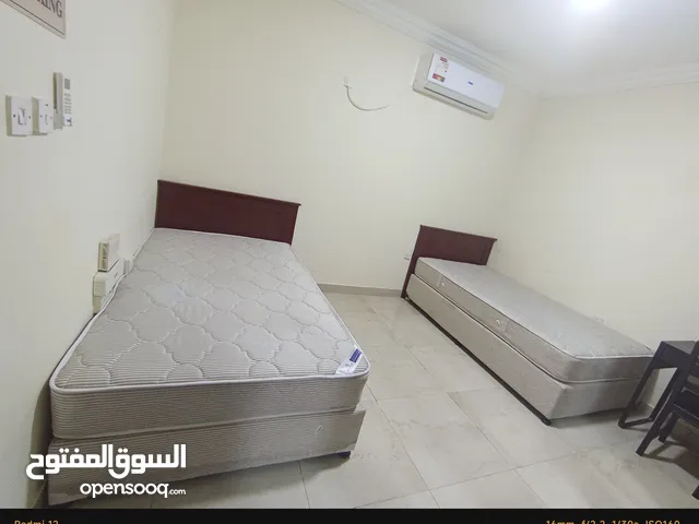 Executive male Bachelor's Room Available