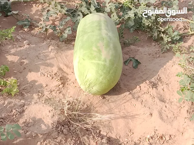 فواكه حبحب الجوف جوده عاليه