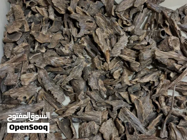 عود موري طيب