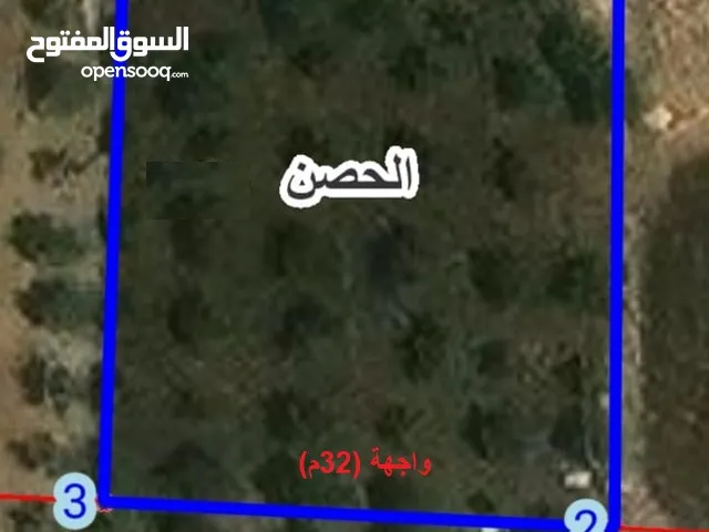 Residential Land for Sale in Irbid Al Husn