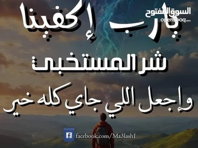 وائل مصطفى سيد