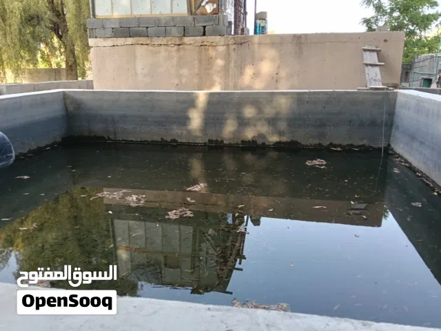 البيع أرض زراعيه  بموقع ممتاز، تحتوي على غرفة مع كهرباء، وطوي (مياه) مشترك، ومزروعات متنوع