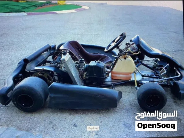 Rotax CRG MAX 125 FR125 28hp 2009 ( GO-KART )