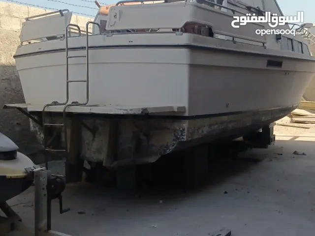 بيع بؤرد  نظيف