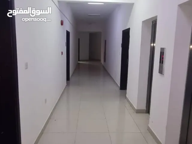 شقة الإيجار