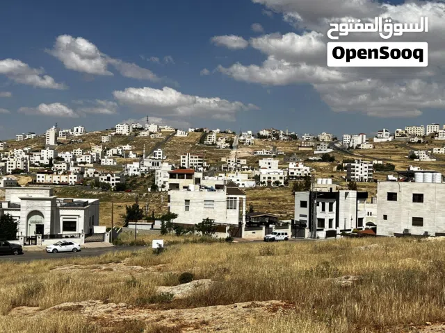 Residential Land for Sale in Amman Shafa Badran