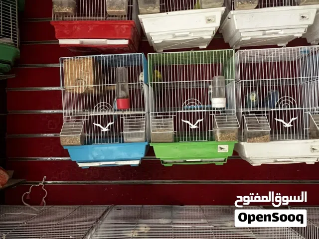 بسم الله الرحمن الرحيم عرض بيع  يوجد أقفاص بكل الأنواع والأحجام وباسعار مميزة ويوجد كل الطيور.