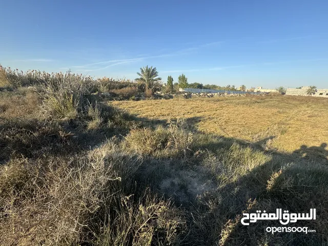 Farm Land for Sale in Basra Karmat Ali