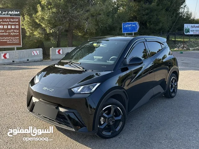 Used BYD Seagull in Amman