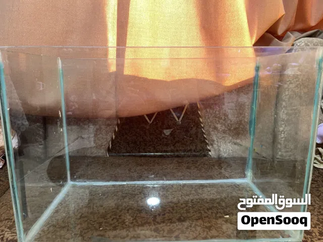 حوض اسماك الزينة