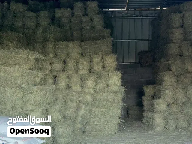 حشيش برايد (بركاء - السوادي جنوب)