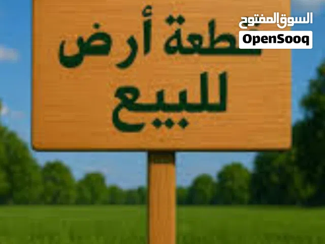 قطعة ارض للبيع في الرمله _قصر بن غشير