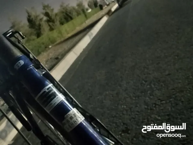 باسكل بناتي 2015