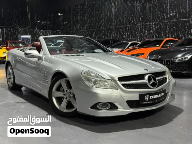 2009 Mercedes Benz SL-Class SL 300