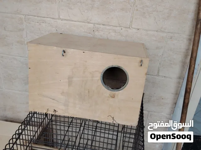 بياضه صن كنيور