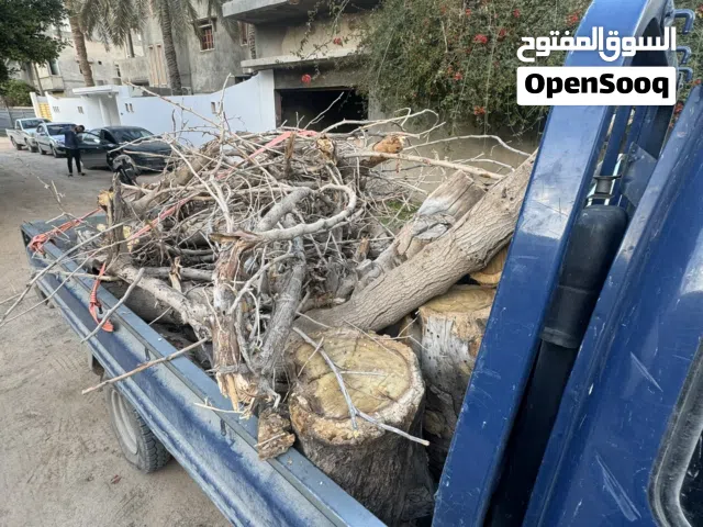 حطب توتة سياره