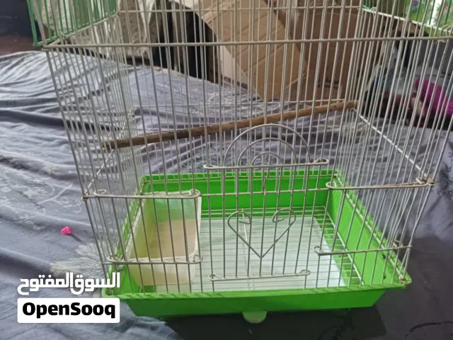 قفص طيور حالة ممتازة