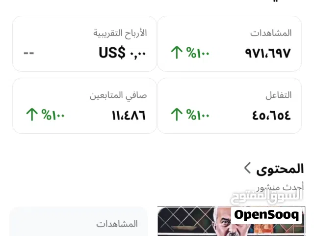 Social Media Accounts and Characters for Sale in Amman