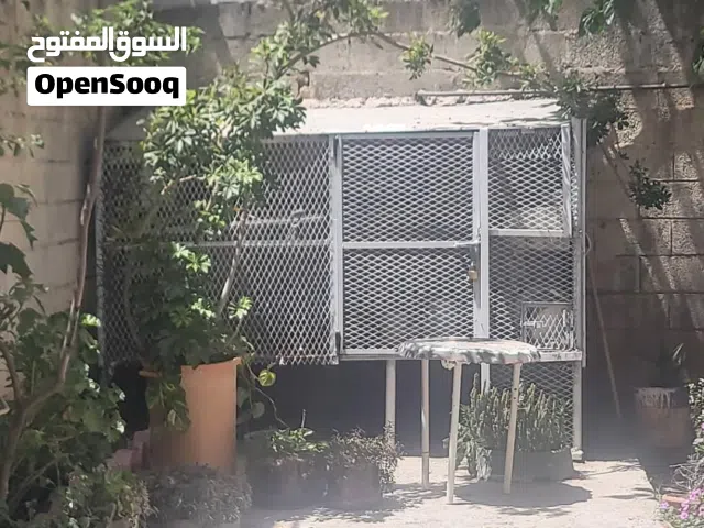 شبك طيور او حمام بتصميم احترافي طول متر وربع  وعرض 3 متر و ارتفاع متر وسبعين على قواعد