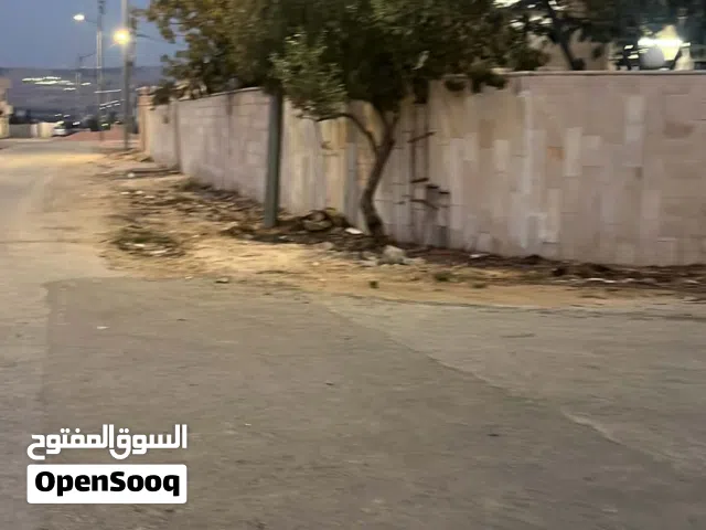 بيت للبيع في قريه ابو نصير