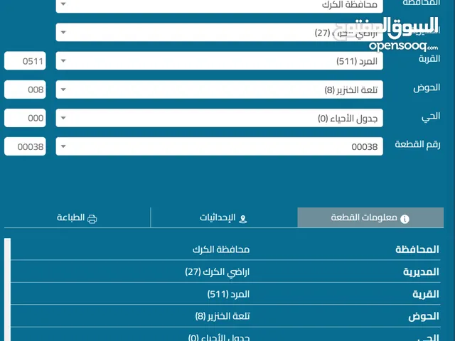 ارض للبيع الكرك المشيرفة