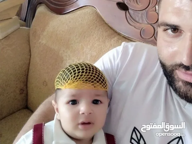 امير عمرو