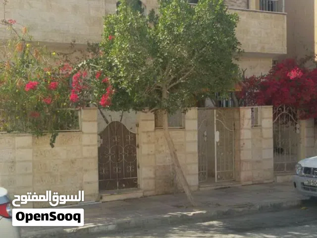 استديو مفروش شهري في منطقة المحدود الوسط العقبة
