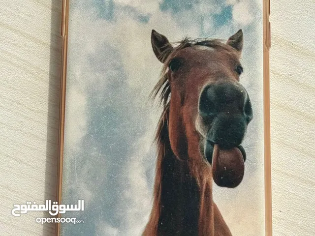 كڤرات ايفون 11 بحالة جيدة بسعر حرق