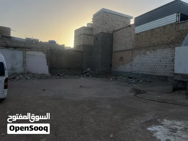 بيع قطه في الزبير