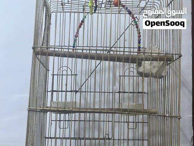قفص ببغاء كبير