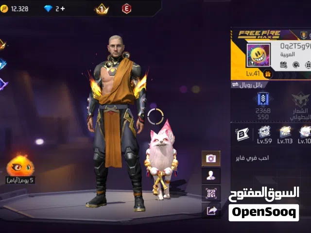 Free Fire Accounts and Characters for Sale in Kafr El-Sheikh