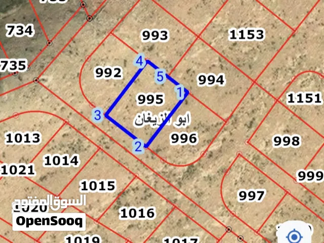 Residential Land for Sale in Zarqa Abu Al-Zighan