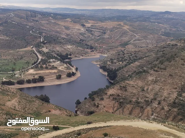 10 دنمات كوشان مستقل مرتفعة وكاشفة