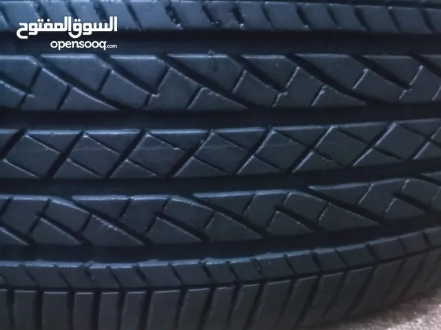 فردتين بريدجستون