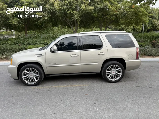 اسكاليد 2014 نظيف جدا