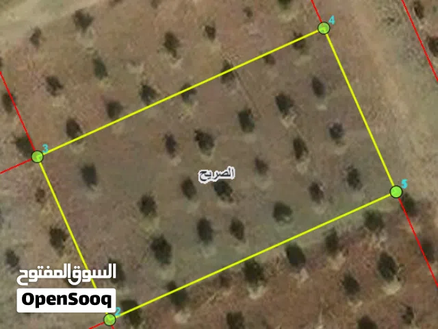 Residential Land for Sale in Irbid Al Sareeh