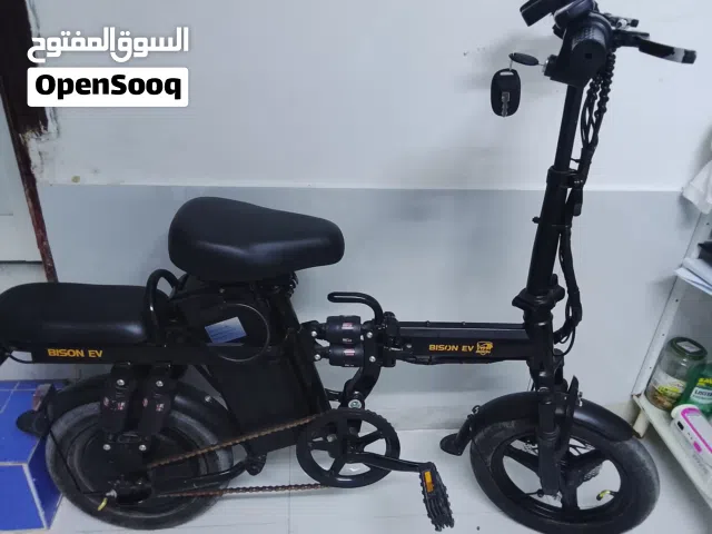 Bison Ev new scooter