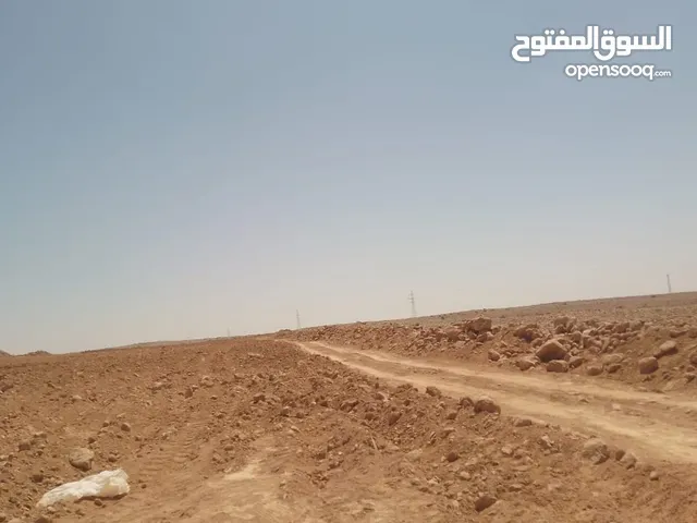 Farm Land for Sale in Mafraq Al-Khalidya