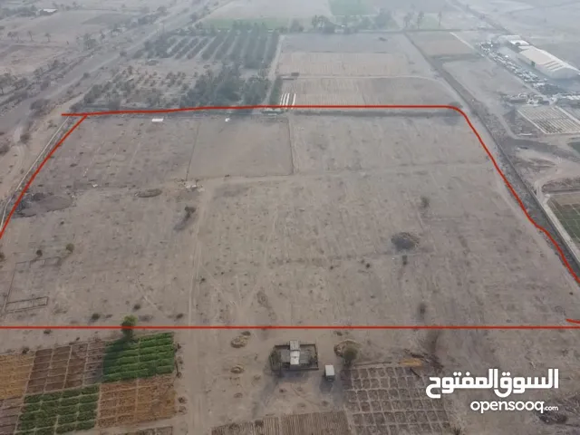 مزرعة للإيجار سنوي