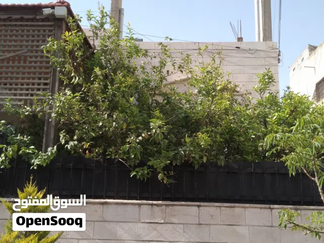 عماره طابقين اربع شقق