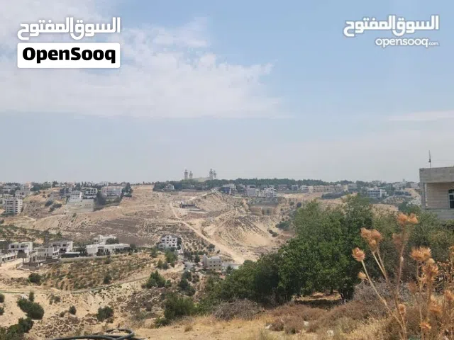 نمرة ارض قرب دابوق في قمة عالية مقابل حدائق الحسين حوض راس الجندي