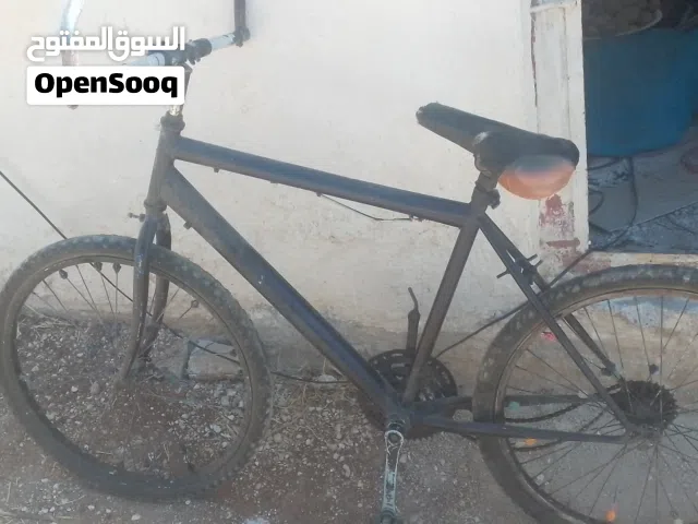 بسكليت قياس 24